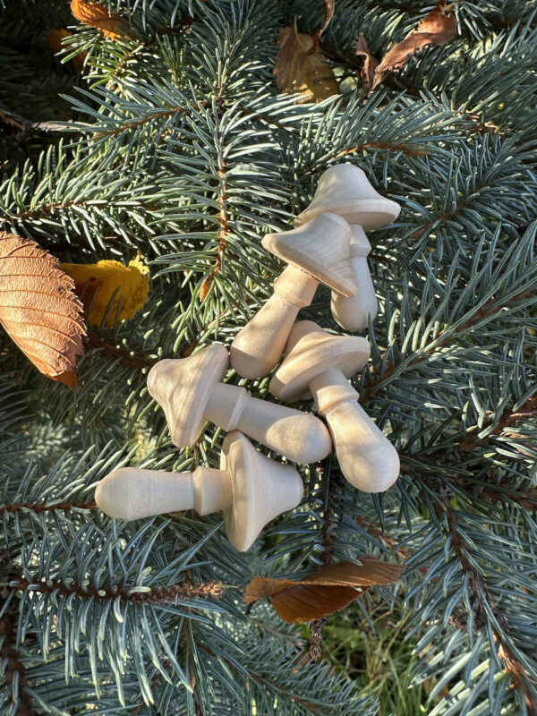 Мухоморы ( 5 штук )